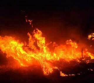 Chamas que se espalharam ferozmente em área do Forte Coimbra, no Pantanal de Corumbá, em 3 de setembro (Foto: Divulgação/Corpo de Bombeiros de MS)