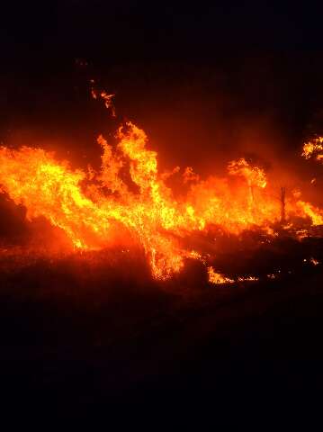 Inc&ecirc;ndios se multiplicam em semana que promete ser quente, ainda sem chuva em MS
