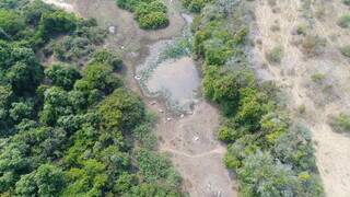 Pol&iacute;cia libera dono de fazenda que abandonou mil bois