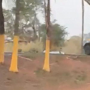 Menina atropelada por caminhonete atravessava rodovia para ir ao banheiro