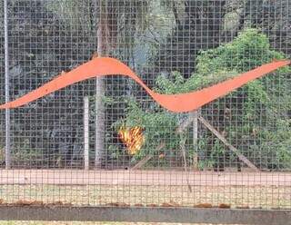Parque em &aacute;rea nobre &eacute; abandonado, tem lixo e vizinhos temem inc&ecirc;ndio florestal