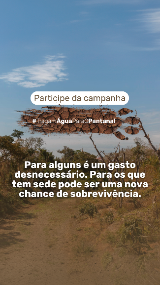 Campo Grande News