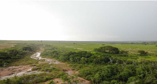 Drone registra o assoreamento do Córrego Água Limpa, em Ribas do Rio Pardo (Foto: Reprodução/PMA)