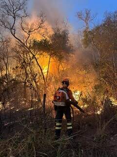 Bombeiro de Mato Grosso do Sul na linha de frente contra incêndio em Porto Murtinho, município com pequena porção do Pantanal (Foto: Divulgação/Corpo de Bombeiros de MS)