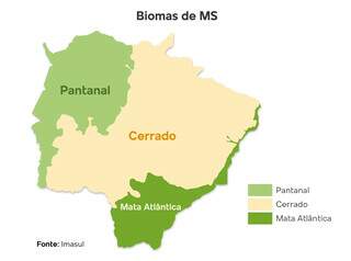 Cerrado é o maior bioma em termos territoriais de Mato Grosso do Sul, abrangendo 61% da área total do estado (Imagem: Lennon Almeida)