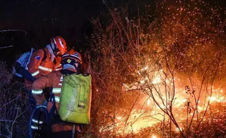 Brigadistas combatem incêndio em vegetação no Pantanal (Foto: Bruno Rezende)