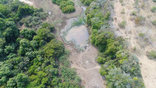 Vista aérea mostra cabeças de gado desnutridas em fazenda abandonada. (Foto: Reprodução/PMA)