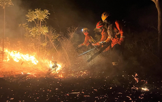 Bombeiros de Mato Grosso do Sul durante combate ao incêndio no Pantanal (Foto: divulgação / Corpo de Bombeiros)