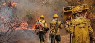 Equipe do Prevfogo no combate aos incêndios no Pantanal (Foto: Prevfogo/Ibama)