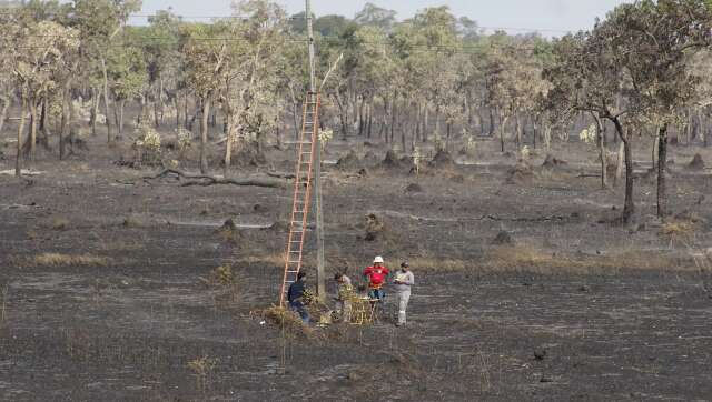 Voc&ecirc; acredita que o Pantanal possa acabar at&eacute; o fim do s&eacute;culo? 