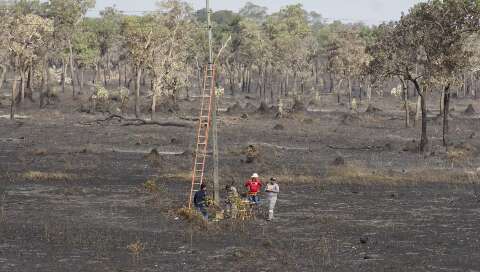 Você acredita que o Pantanal possa acabar até o fim do século? 