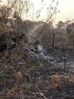 Imagem de vegetação queimada no Bairro Rita Vieira (Foto: Direto das Ruas)