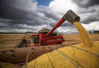 Plataforma de colheitadeira descarrega soja durante operação em MS; oleaginosa é o principal grão produzido no Estado. (Fotos: Arquivo/Aprosoja-MS)