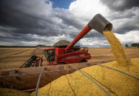 Produção agrícola de MS cresce 3% em 2023 e fecha em R$ 51,5 bilhões