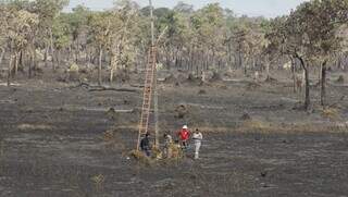 Equipe de brigadistas em área devastada pelo fogo em Pantanal. (Foto: Campo Grande News/Arquivo)