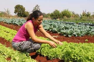 Produtora em propriedade de um hectare no Bairro Indubrasil (Foto: Henrique Kawaminami)