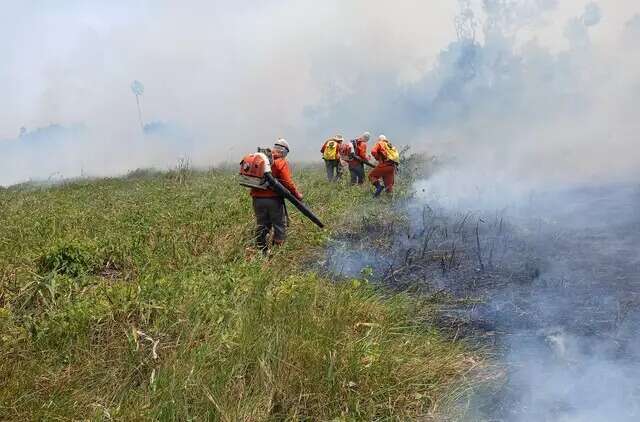 Para 68% dos leitores, Pantanal pode acabar at&eacute; o fim do s&eacute;culo