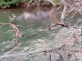 Pescador encontra corpo em estado de decomposi&ccedil;&atilde;o no Rio Verde