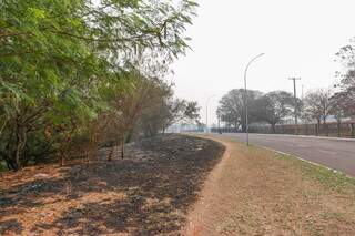 Bairros ganham cor cinza com cidade &quot;pegando fogo&quot; diariamente