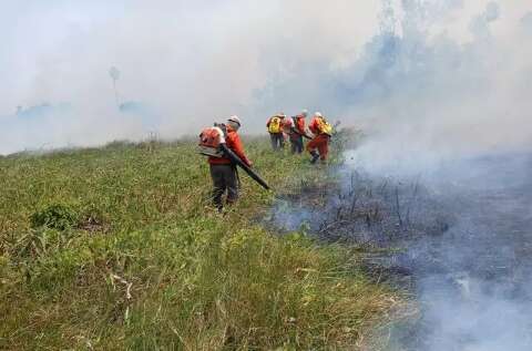 Para 68% dos leitores, Pantanal pode acabar até o fim do século