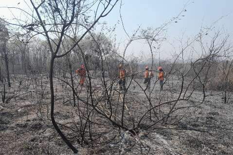 Tebet confirma R$ 500 milhões contra fogo no Pantanal e na Amazônia