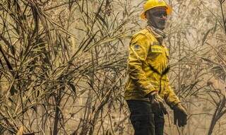 Profissional do Ibama combatendo incêndio no Pantanal (Foto: Marcelo Camargo/Agência Brasil)