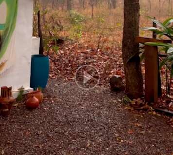 Chuva, enfim, chega ao MS e atinge munic&iacute;pios das regi&otilde;es sul e sudoeste