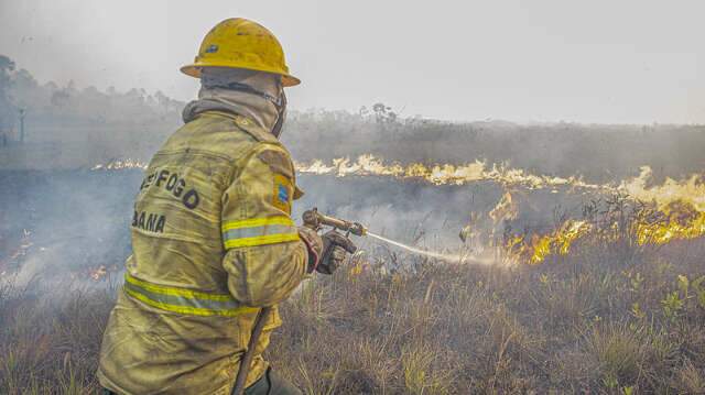 Dino vai interrogar representantes de MS e outros 9 estados sobre inc&ecirc;ndios 