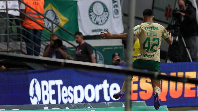 Palmeiras goleia Crici&uacute;ma e chega a vice-lideran&ccedil;a do Brasileir&atilde;o 