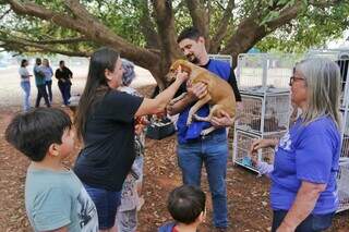 Cachorrinha sendo apresentada aos visitantes do parque (Foto: Paulo Francis)