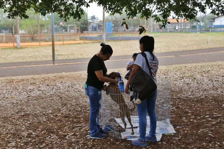 Campo Grande News