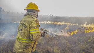 Dino vai interrogar representantes de MS e outros 9 estados sobre inc&ecirc;ndios 