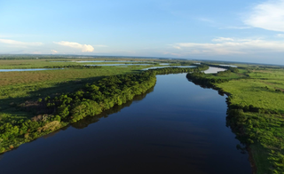 Área de Mata Atântica em Mato Grosso do Sul (divulgação: Imasul) 