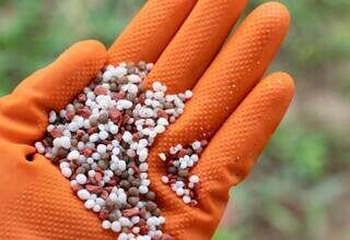 Agricultor manipula fertilizante granulado; importação encarece preço do produto. (Foto: Divulgação/Aprosoja-MS)