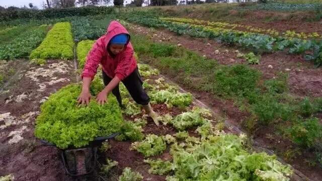 Ministros v&atilde;o debater impactos dos inc&ecirc;ndios na agricultura familiar de MS