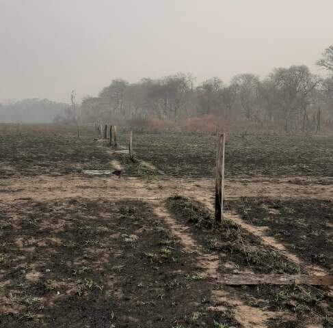 Famasul e Senar atuam para recuperar 500 fazendas no Pantanal afetadas pelo fogo