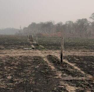 Fazenda no Pantanal atingida pelos incêndios teve pastos, cercas e vegetação nativa queimadas. (Foto: Divulgação/Famasul)