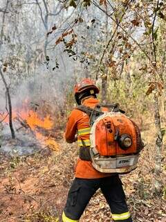 Bombeiro combate incêndio na região de Betione, em Miranda (Foto: Divulgação/Governo de MS)