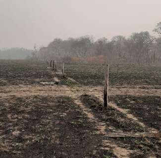 Famasul e Senar atuam para recuperar 500 fazendas no Pantanal afetadas pelo fogo