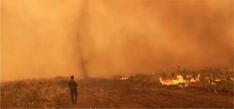 Recurso para combater incêndios no Pantanal pode ser liberado em 24 horas 