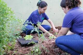 Alunas do terceiro ano trabalham em plantação de hortaliças (Foto: Juliano Almeida).