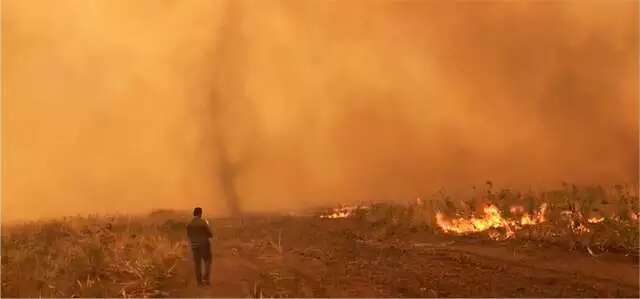 Recurso para combater inc&ecirc;ndios no Pantanal pode ser liberado em 24 horas 