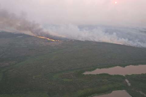 Área queimada no Pantanal de MS "cai" 784 mil hectares após método mudar