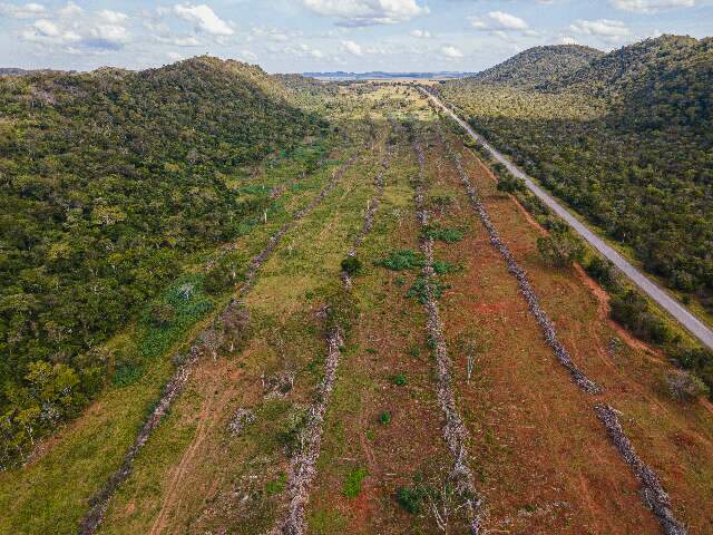 Com a expans&atilde;o da soja, Bacia do Rio Miranda perde 562 mil hectares de floresta