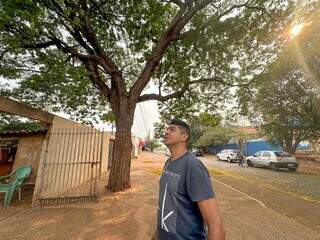 A frondosa árvore em frente de casa acompanha a vida de Jeferson. (Foto: Marcos Maluf)