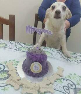 Morgana completou os 15 anos com direito a bolo de princesa