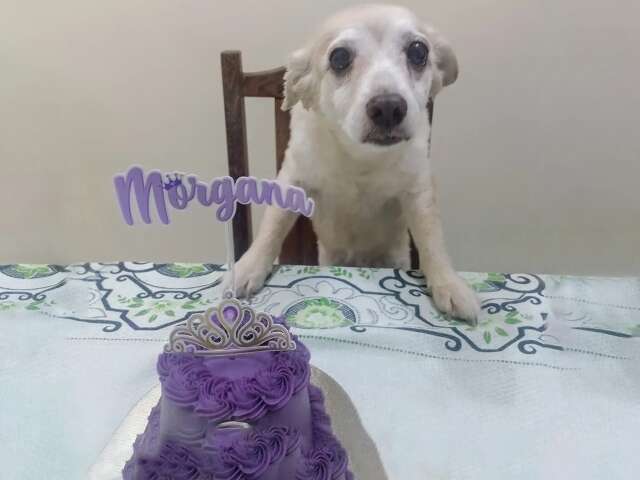 Morgana completou os 15 anos com direito a bolo de princesa