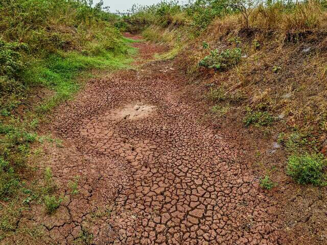 Imagens mostram a&ccedil;&atilde;o da seca em aldeia e distrito no Pantanal