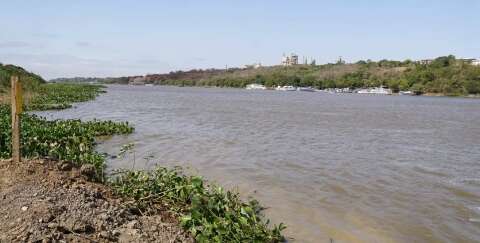 N&iacute;vel do Rio Paraguai cai 2 cm/dia, ritmo que aponta para seca nunca vista 