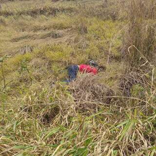 Corpo da vítima foi arremessado em área de vegetação (Foto: Direto das Ruas)